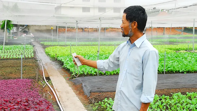 Ông Vũ Bình An (xã Xuân Thới Đông, huyện Hóc Môn) ứng dụng hệ thống tưới tiêu tự động kết hợp điều khiển từ xa tại vườn rau VietGAP của gia đình Ảnh:  LINH CHI