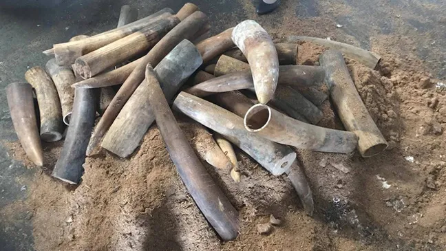 Tang vật cơ quan  công an thu giữ