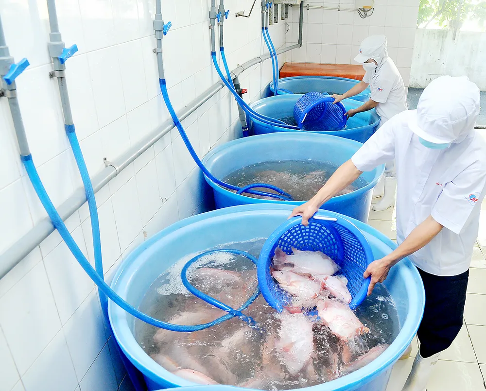 Tăng cơ hội thực phẩm Việt vào Mỹ ảnh 1