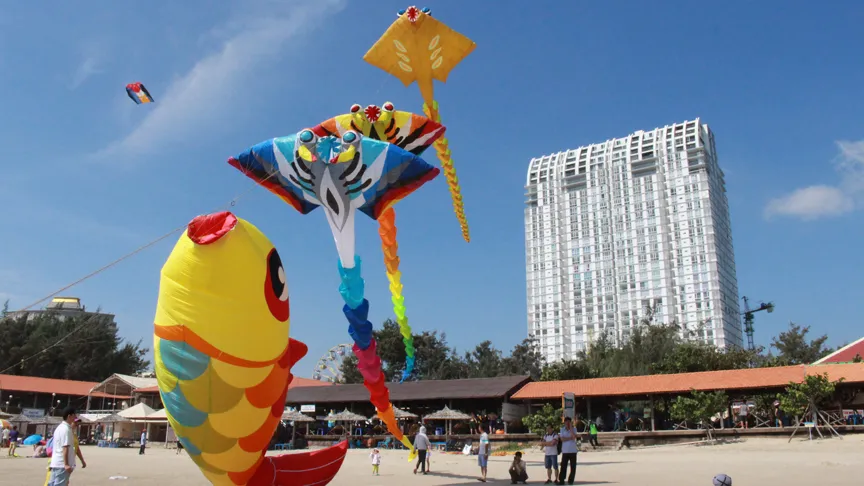 Ngất ngây với những con diều trên bãi biển Vũng Tàu ảnh 2