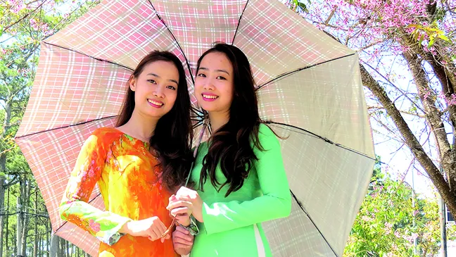 Đà Lạt vào mùa hoa dại ảnh 6