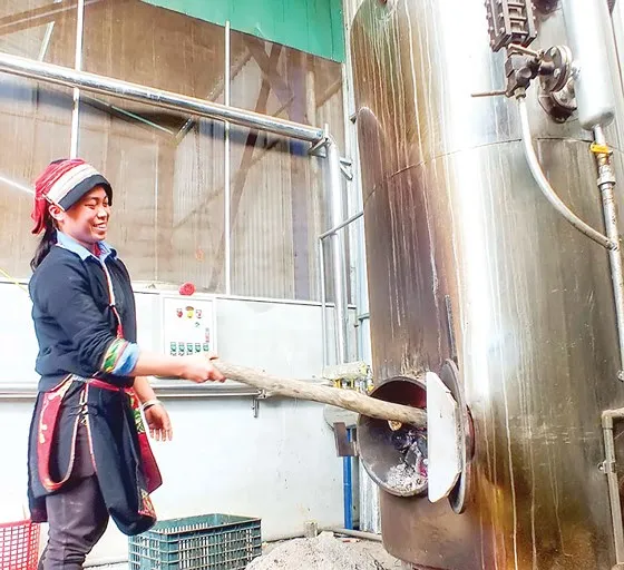 Khởi nghiệp nơi... cổng trời ảnh 1