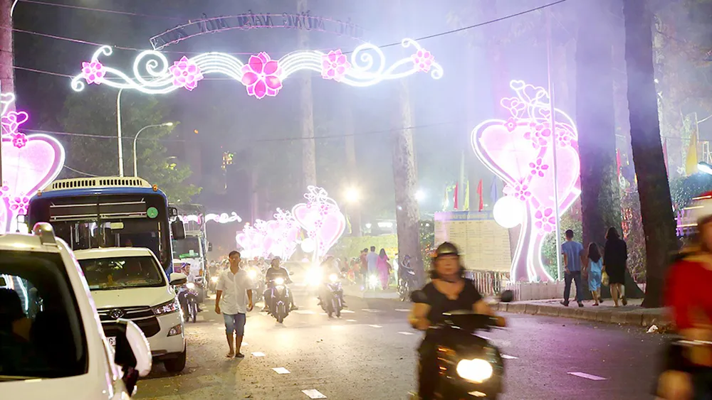 Sáng điện ngày xuân ảnh 5