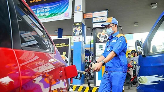 Cân nhắc việc tính thuế để  khuyến khích sử dụng xăng E5