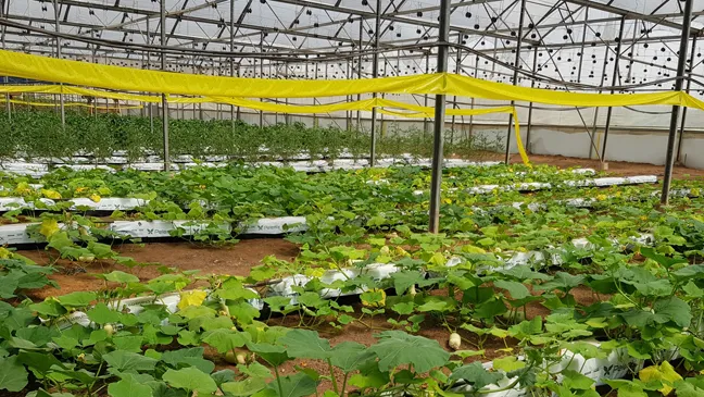 Học tập kinh nghiệm xây dựng TP thông minh và khởi nghiệp sáng tạo tại Tel Aviv, Israel ảnh 3