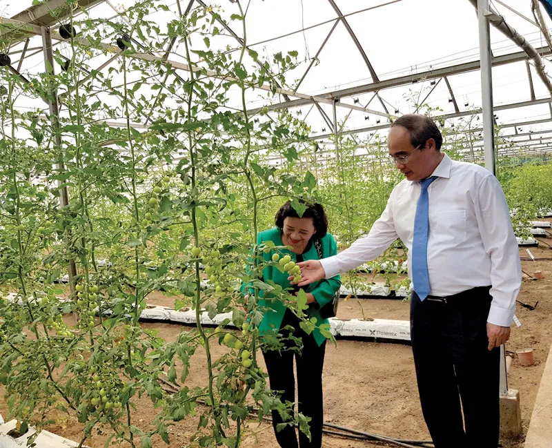 Học tập kinh nghiệm xây dựng TP thông minh và khởi nghiệp sáng tạo tại Tel Aviv, Israel ảnh 5