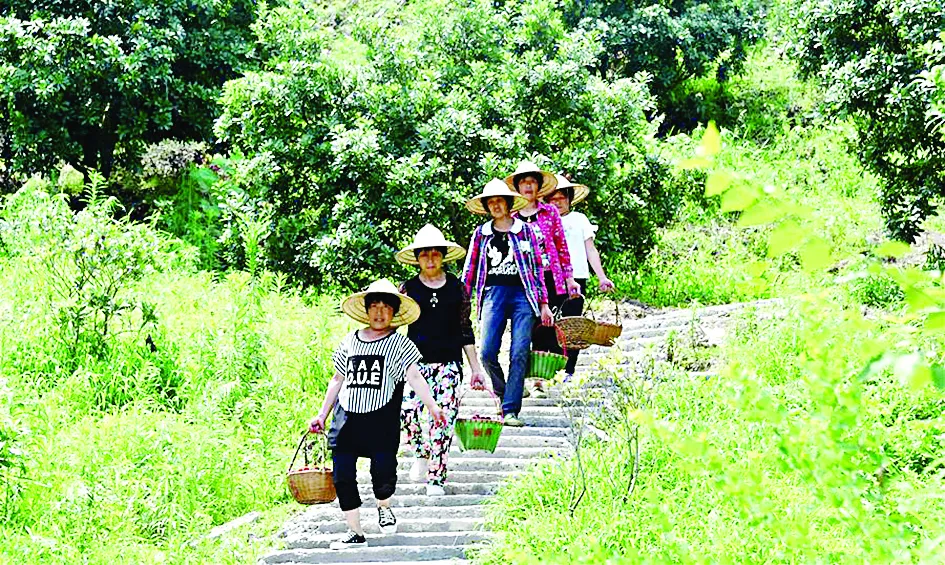 Lễ hội thu hoạch đầu tiên của Trung Quốc
