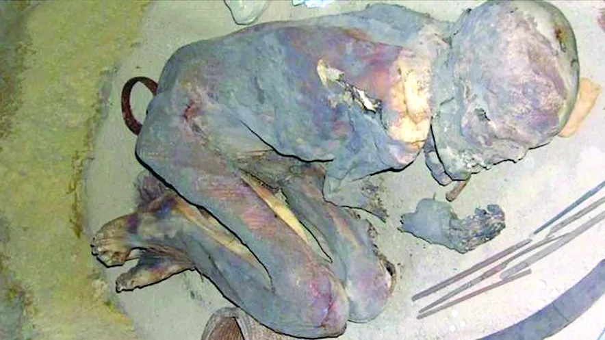 Người Ai Cập đã biết ướp xác cách đây hơn 5.000 năm