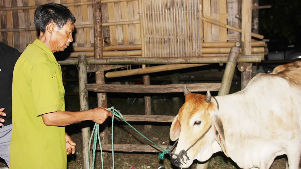 Mang Trung thu lên đại ngàn Trường Sơn ảnh 1