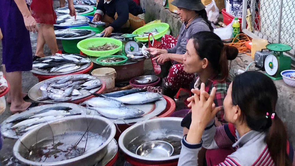 Khó đảm bảo ATVSTP bởi lực lượng kiểm tra chủ yếu bằng mắt thường