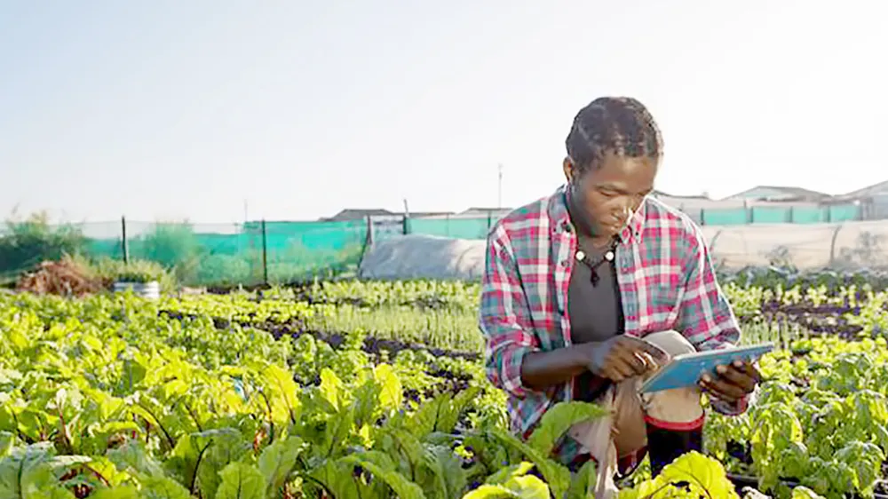 Nông dân châu Phi thời 4.0