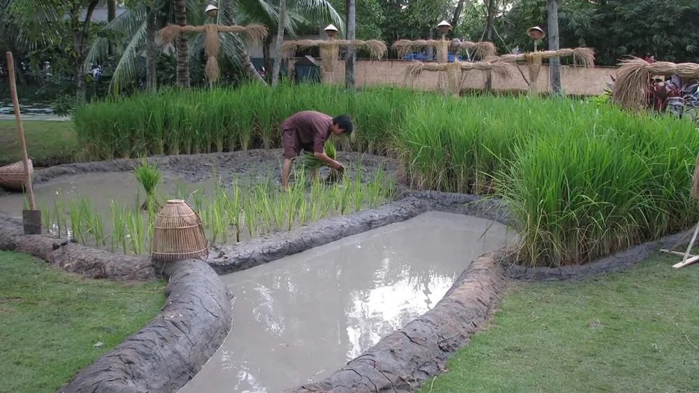 Lễ hội văn hóa và ẩm thực “HẠT LÚA QUÊ TÔI” ảnh 4