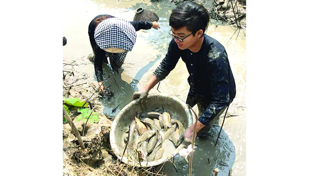 Homestay ở Tam Nông ảnh 2