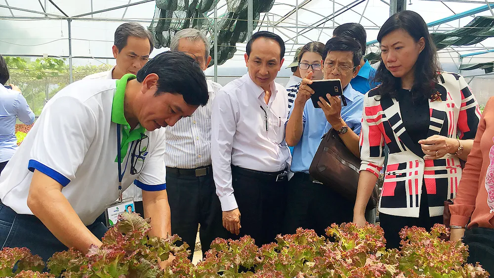 Sản xuất nông sản an toàn tại một trang trại