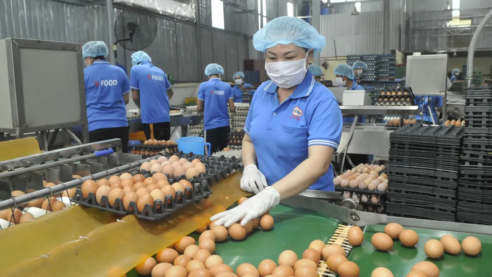 Hoạt động sản xuất tại một doanh nghiệp.  Ảnh: CAO THĂNG