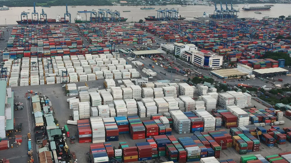 Thời gian kiểm tra chuyên ngành giúp doanh nghiệp ít tốn chi phí kho bãi, giải phóng hàng nhanh  Ảnh: THÀNH TRÍ