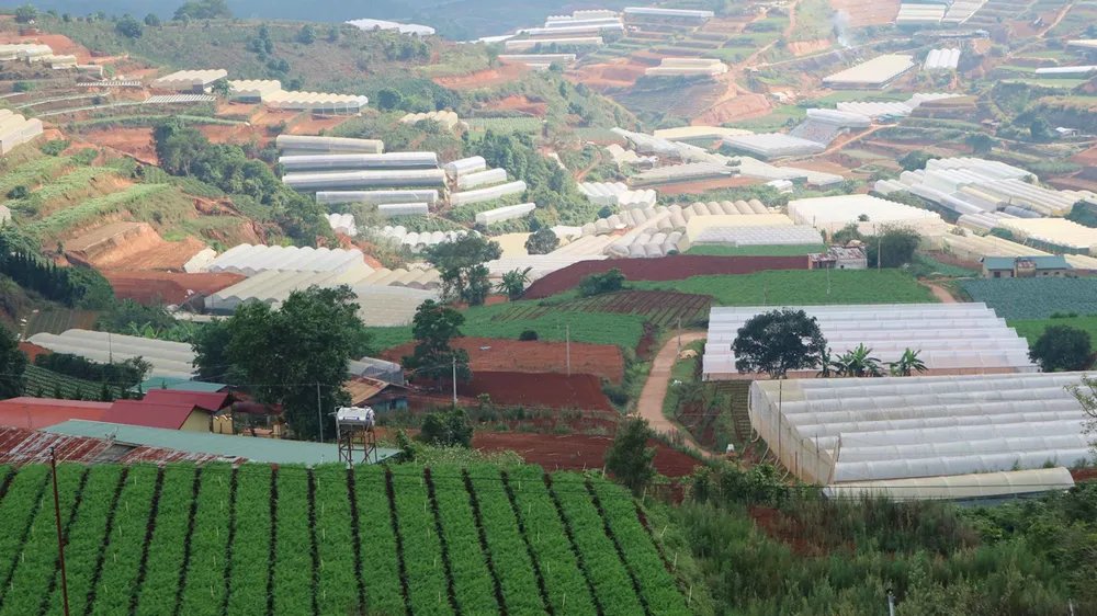  TP Đà Lạt xây dựng thí điểm “Làng đô thị xanh” tại xã Xuân Thọ