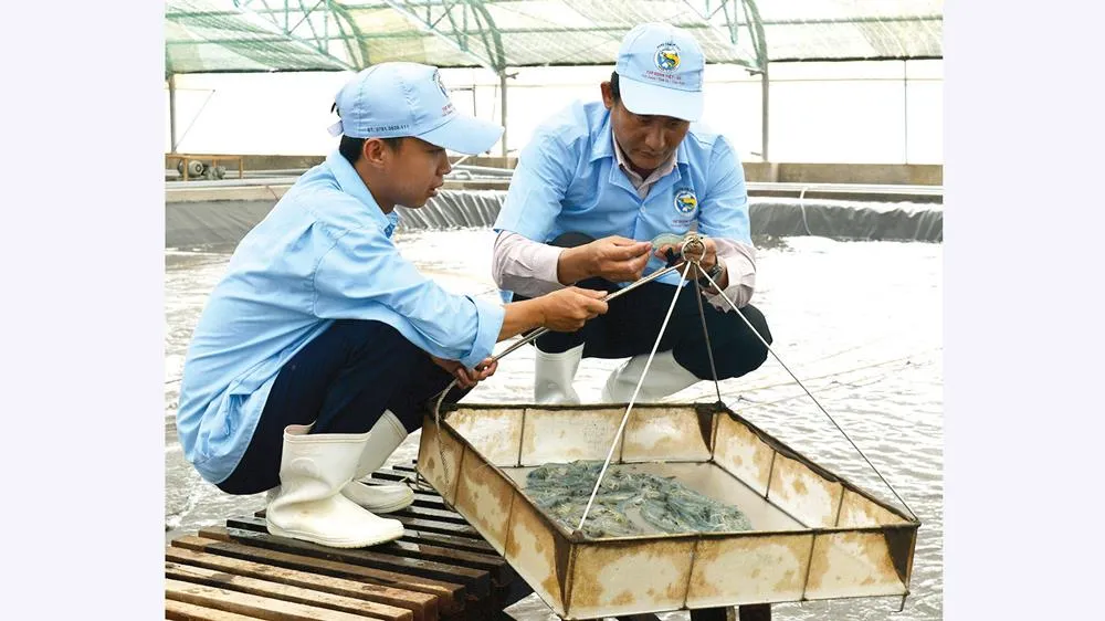 Làm nông an nhàn ảnh 5