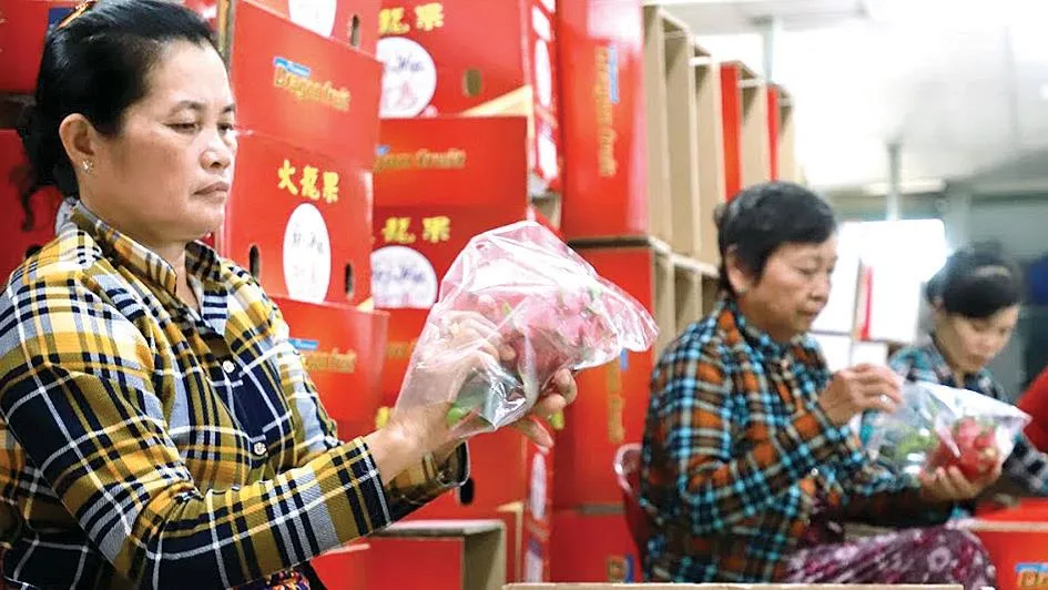 Làm nông an nhàn ảnh 3