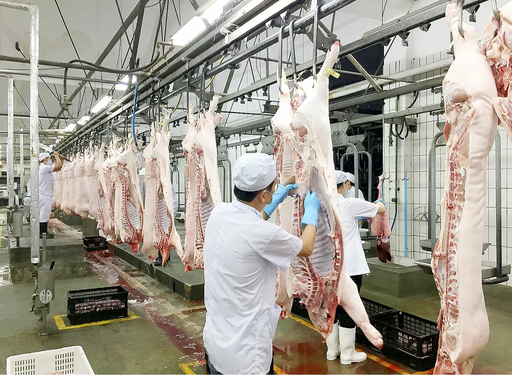 Cảnh báo thiếu nguồn cung thịt heo cuối năm