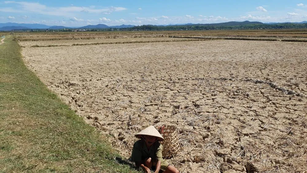 Qua vùng “chảo lửa” - Bài 1: Đồng khô cỏ cháy ảnh 2