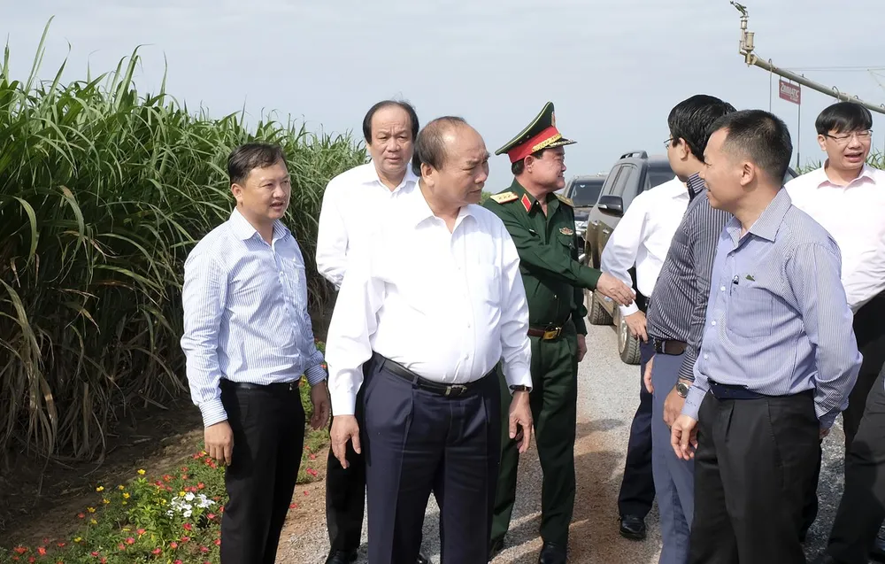 Thủ tướng thăm cánh đồng mía tại xã Thành Long, huyện Châu Thành. Ảnh: VGP/Quang Hiếu