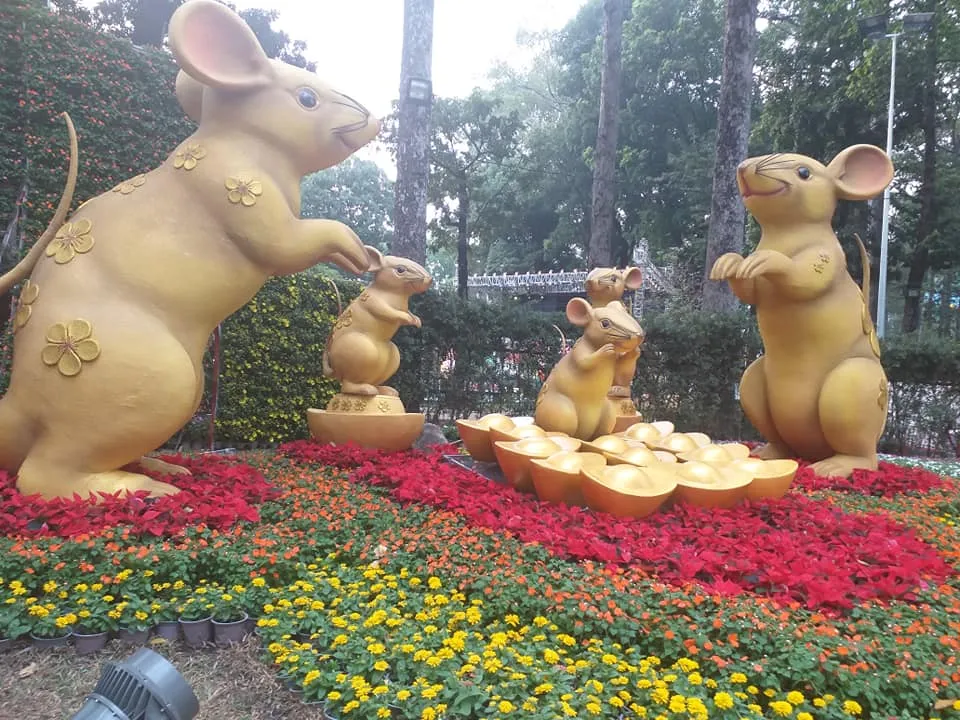 Khai mạc Hội Hoa xuân TPHCM Canh Tý 2020 ảnh 3