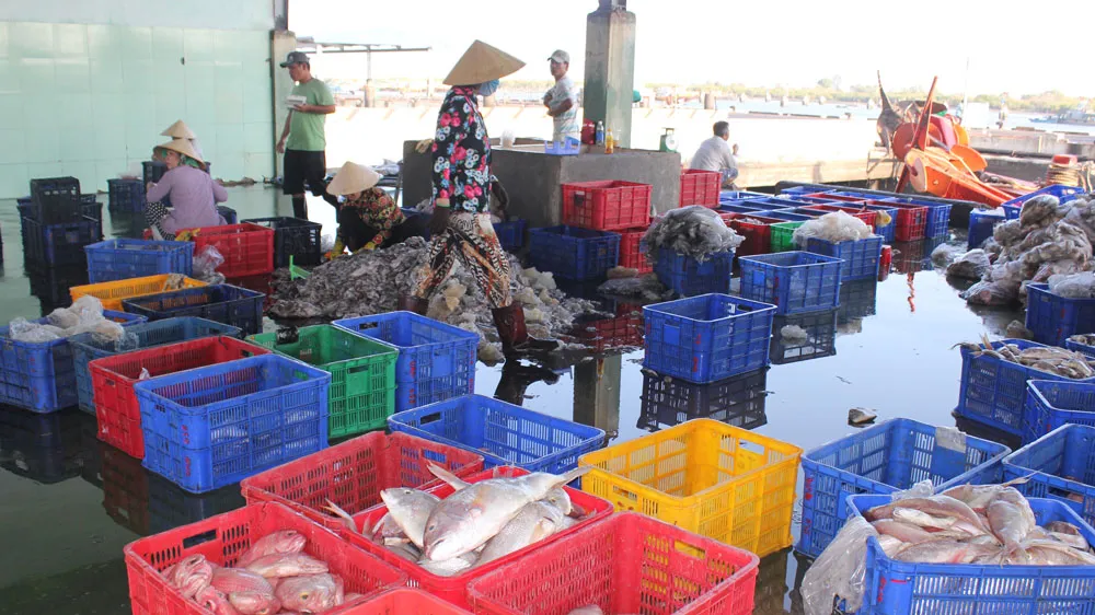 Chế biến trứng cung ứng bình ổn thị trường tại Công ty Vĩnh Thành Đạt, TPHCM. Ảnh: CAO THĂNG