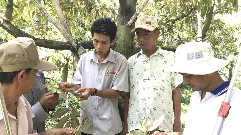 Doanh nghiệp hướng dẫn kỹ thuật trồng trọt, đưa công nghệ vào sản xuất,  hạn chế thiệt hại cho nông dân