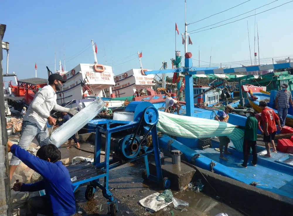 Dù chịu ảnh hưởng của dịch Covid-19,  nhưng ngư dân Bình Thuận vẫn kiên cường bám biển