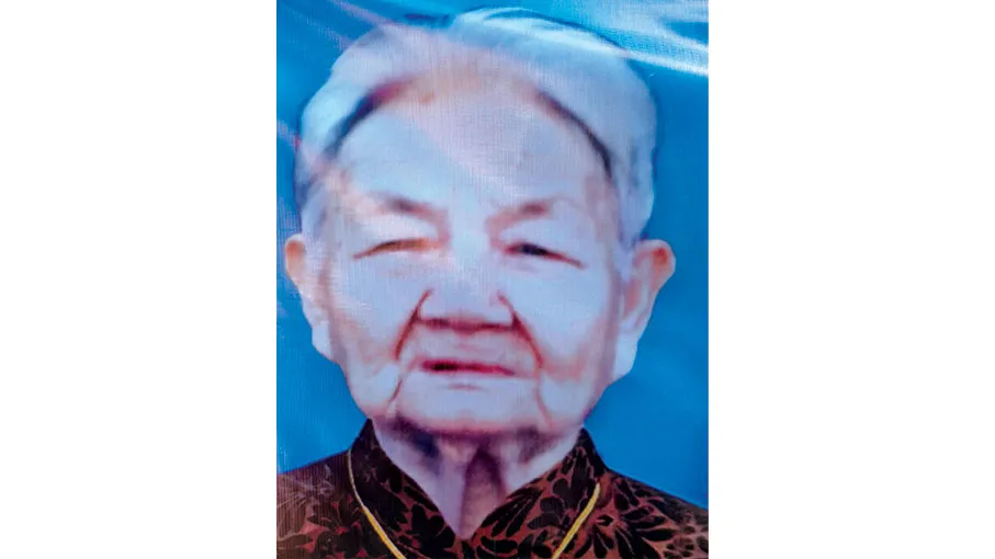 TIN BUỒN Bà Mẹ Việt Nam Anh Hùng  Nguyễn Thị Mận