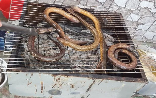 Lịch củ U Minh nướng mọi ảnh 1