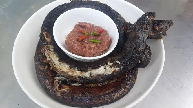 Lịch củ U Minh nướng mọi ảnh 2