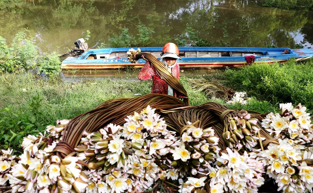 Mưu sinh mùa lũ muộn ảnh 7