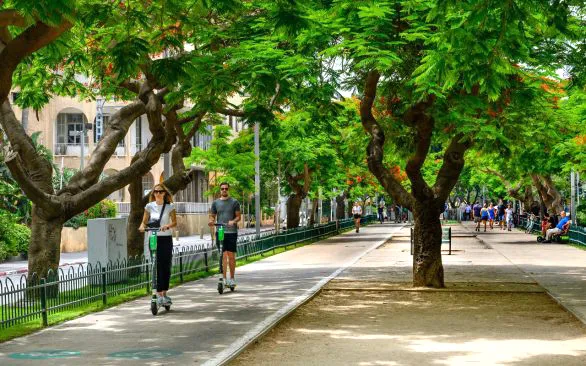 Israel đẩy mạnh phủ xanh đô thị ảnh 1