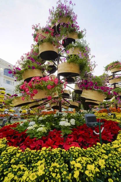 Đường hoa Nguyễn Huệ 2022 trước giờ khai mạc: Công trình mang nhiều ý nghĩa của TPHCM ảnh 4