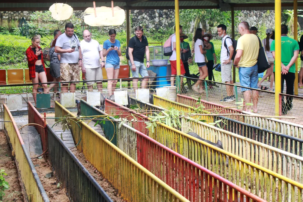 Sẵn sàng đón khách quốc tế ảnh 5