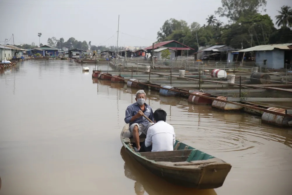 Bình yên làng cá Tân Mai ảnh 4