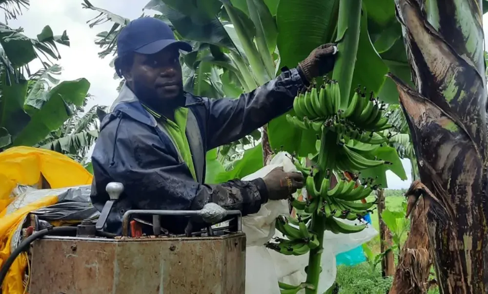 Dùng công nghệ GPS để bảo vệ rạn san hô