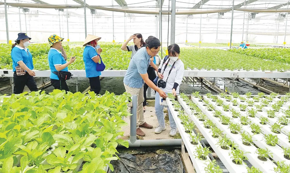 Nhà nông thời 4.0 ảnh 1