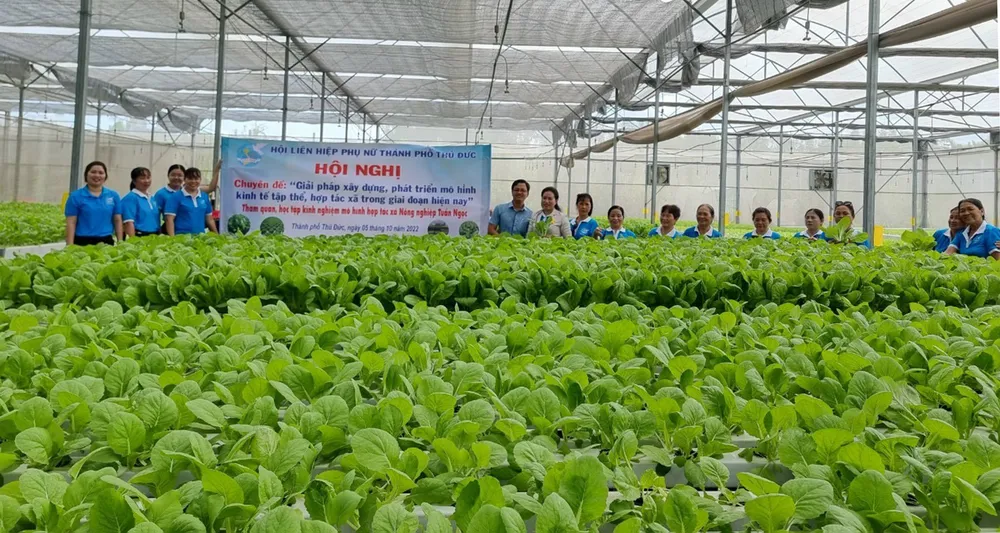 Nhà nông thời 4.0 ảnh 2