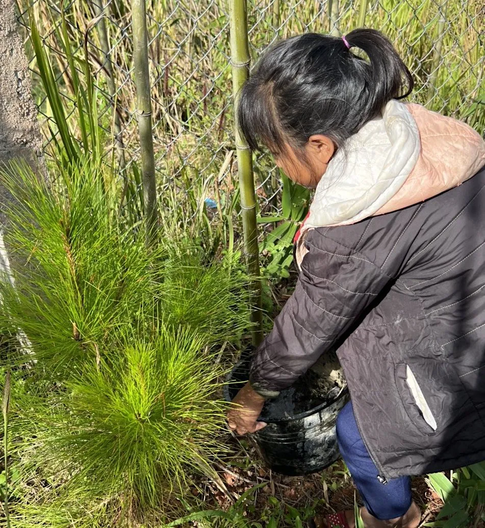 Huyện Tu Mơ Rông kiến nghị giải pháp để người dân thực sự hưởng lợi từ trồng rừng ảnh 2