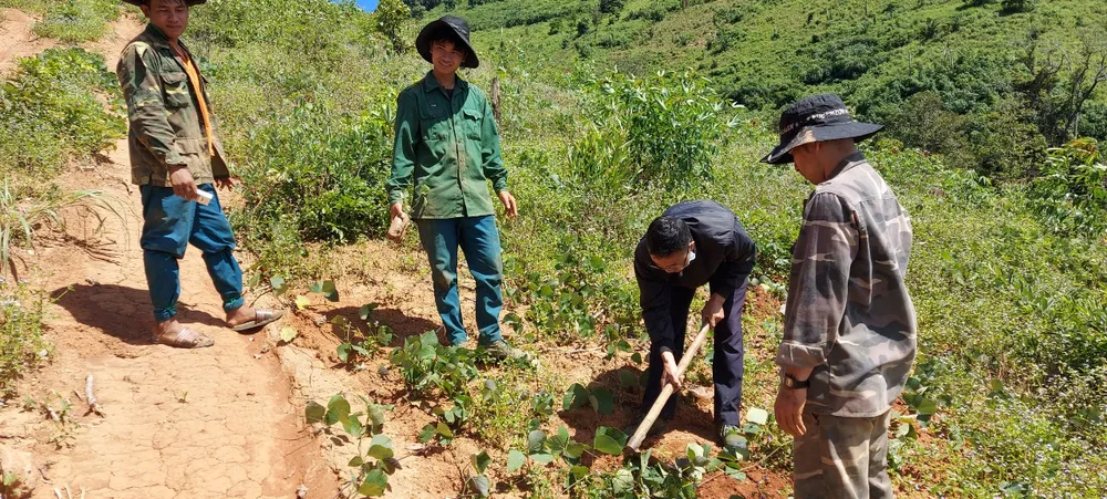 Huyện Tu Mơ Rông kiến nghị giải pháp để người dân thực sự hưởng lợi từ trồng rừng ảnh 4