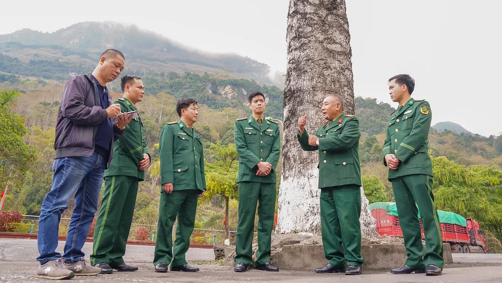 Đại tá Đỗ Mạnh Thường kể lại lịch sử bên cạnh chứng tích cây gạo bị pháo địch bắn. Ảnh: ĐỖ TRUNG