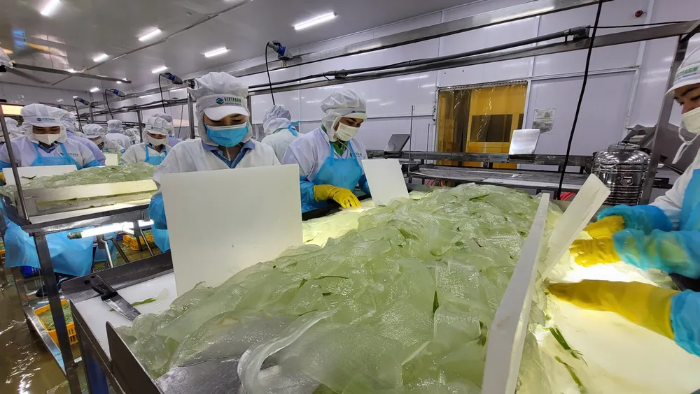 Công ty GC Food liên kết với nông dân, tạo thành hệ nông nghiệp tuần hoàn