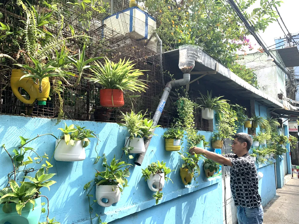 Ông Nguyễn Anh Minh dành nhiều thời gian chăm sóc mảng xanh trên tường để tạo không gian sống xanh mát cho bà con xung quanh
