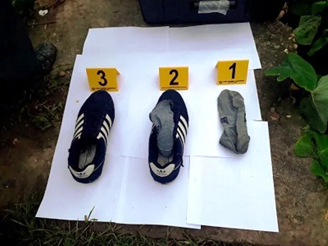 Khởi tố vụ án giữa đêm lẻn vào nhà đâm chết 2 vợ chồng  ảnh 1