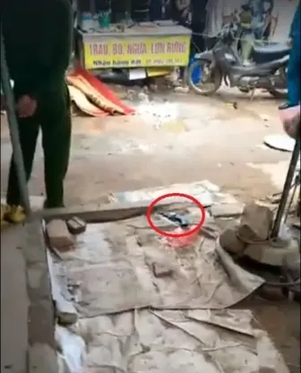 Kinh hoàng một phụ nữ bị bắn chết giữa chợ Bến Tắm ảnh 2