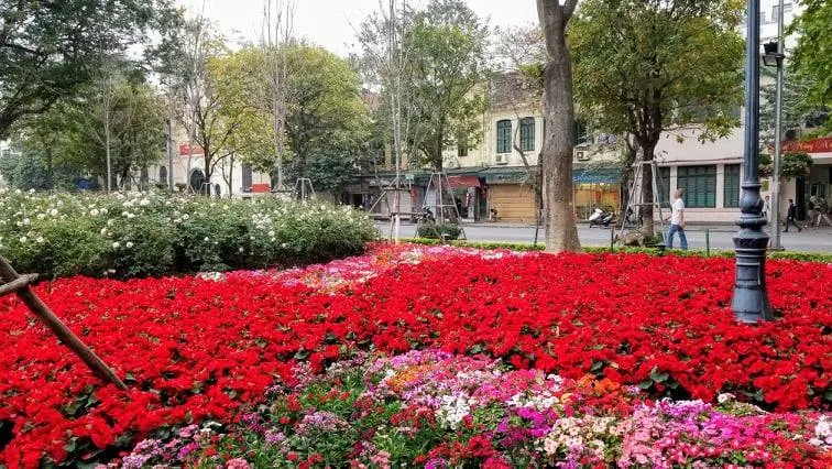 30 Tết, Hà Nội yên bình ảnh 5