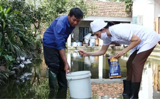 Hơn 26.800 người mắc, tử vong do sốt xuất huyết và virus Zika ảnh 2